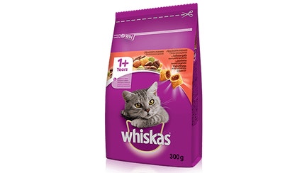 Mačky staršie jako 1 rok (1rok+)