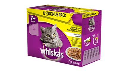 Mačky staršie jako 7 rokov (7rokov+)